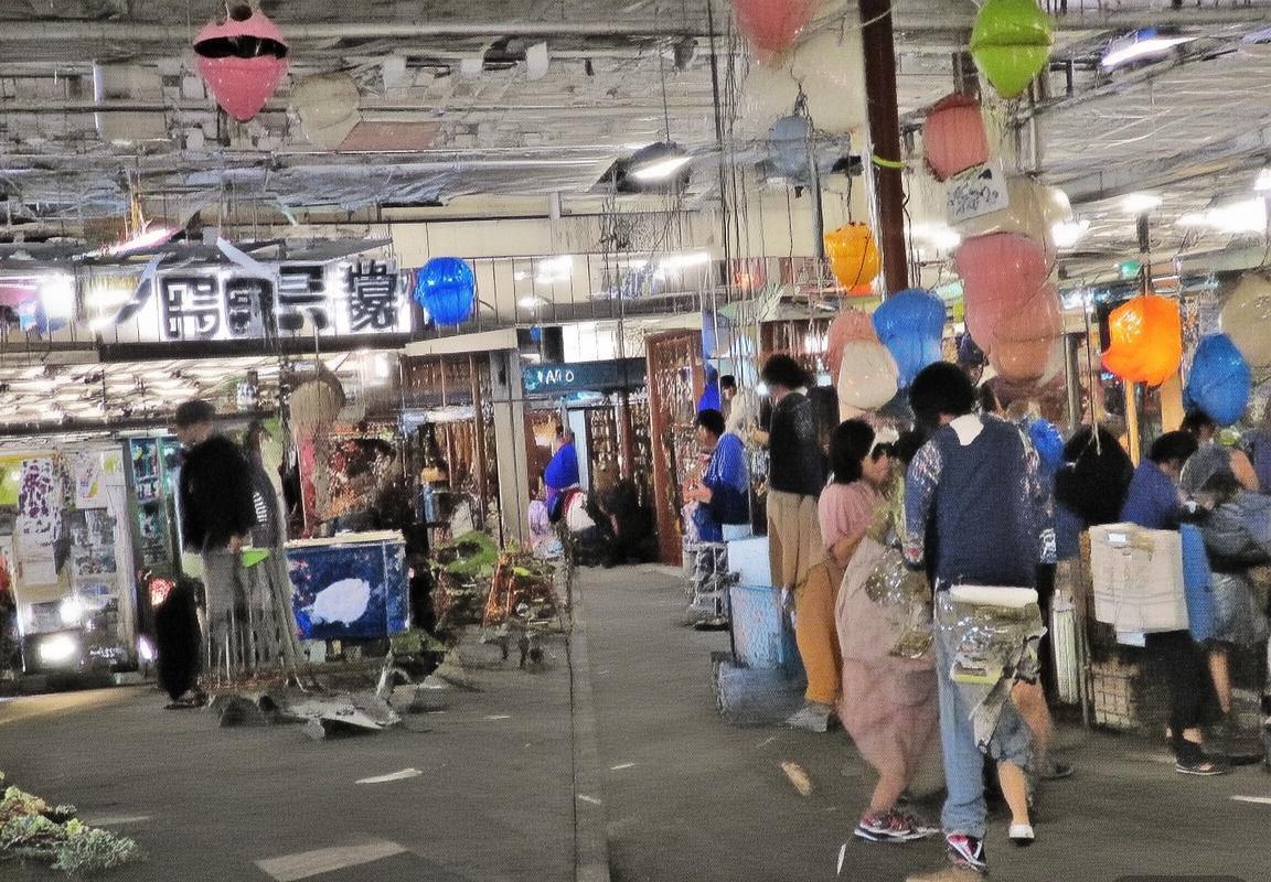 2019季前赛前瞻：火箭猛龙备战新赛季，携手冲击总冠军(图2)